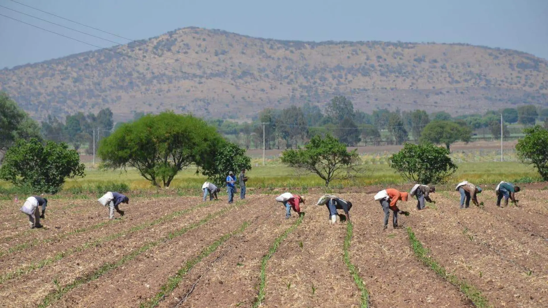 SJR Migrantes